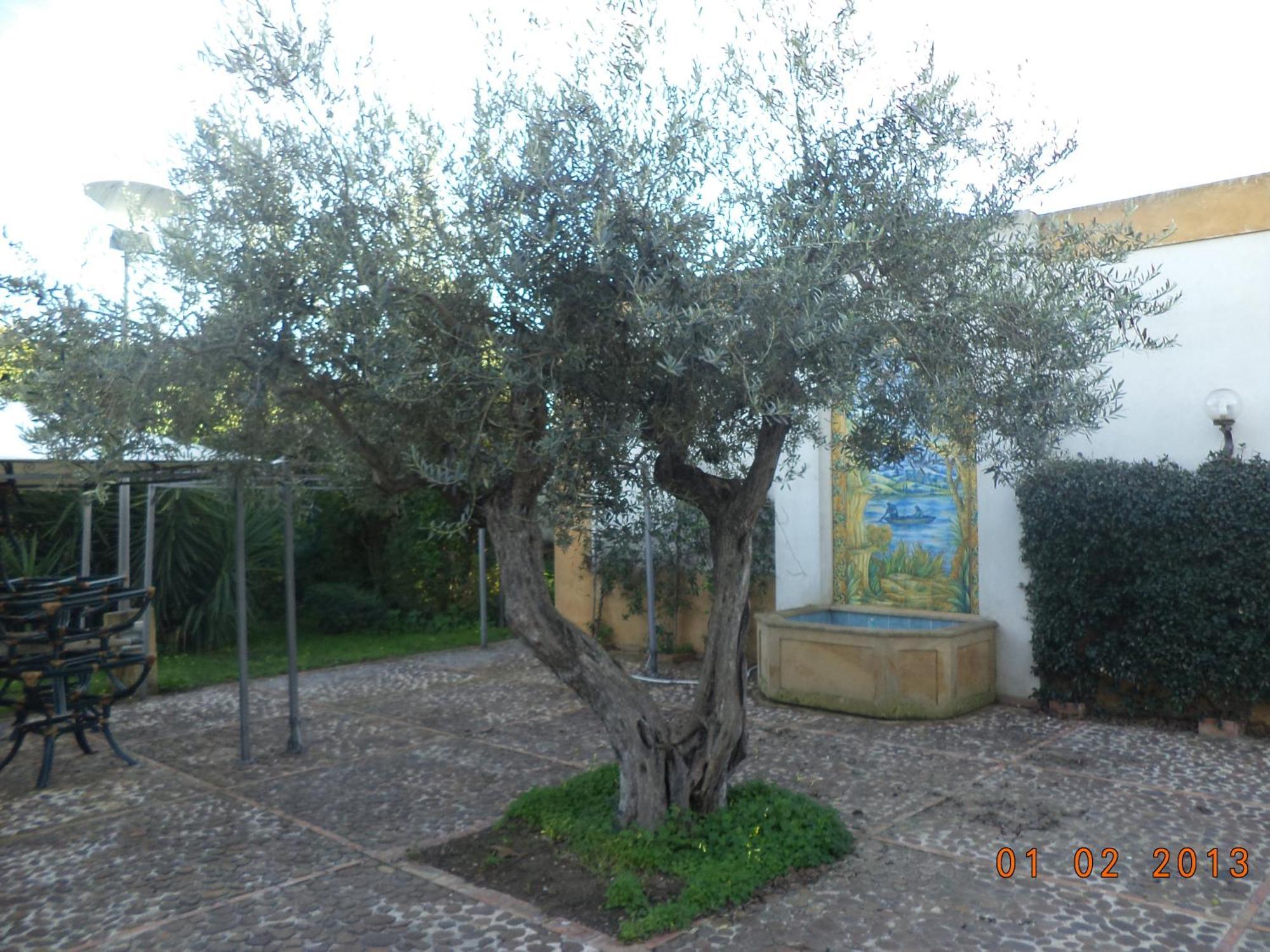 Hotel Villa Palocla Sciacca Exteriör bild